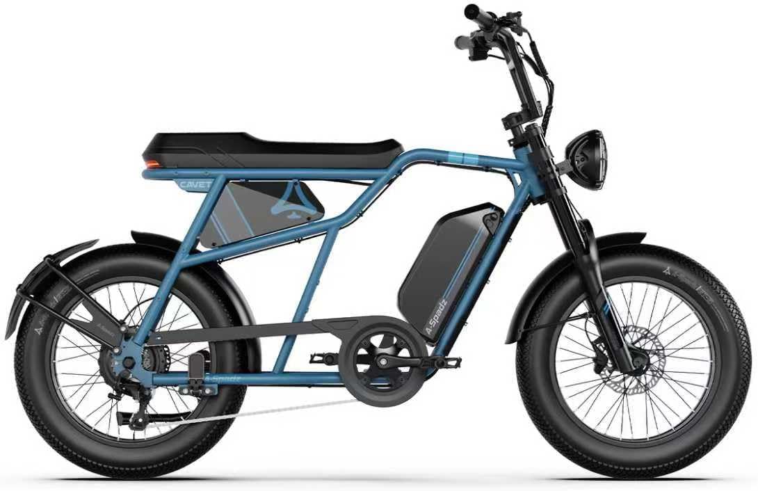 20" Fat Tyre Electric Bike for Adults, 48V 15.6Ah Battery, 250W Motor, 7-Speed E-Bike with Dual Suspension