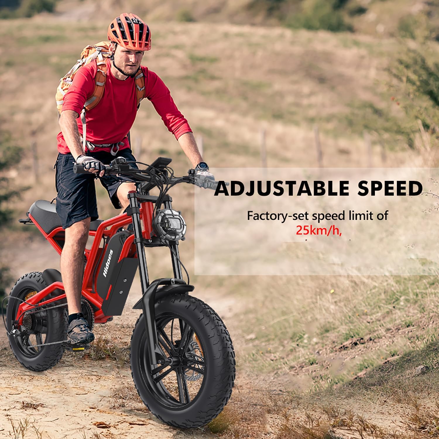 20" Fat Tyre Electric Bike for Adults, 48V 15.6Ah Removable Battery, 7-Speed E-Bike with Dual Suspension & LCD Display